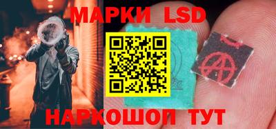 индика Новодвинск