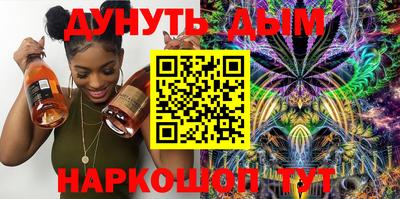 индика Новодвинск