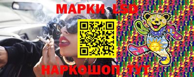 индика Новодвинск