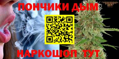 индика Новодвинск