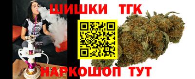 индика Новодвинск