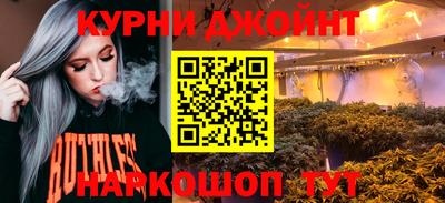 индика Новодвинск